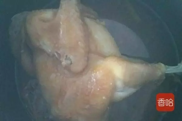 只需要一個電飯煲，不加水不加油，輕輕一按，香噴噴的雞肉就好了！！！