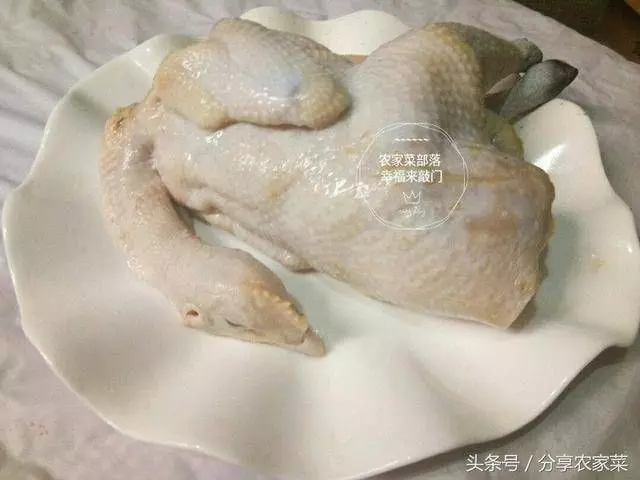 白斬雞你只會用水煮，五星級廚師說這樣永遠煮不出正宗的白斬雞，應該這樣做才行!!!