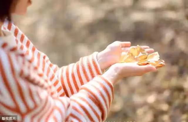 /www/bananadaily.net/web/images/image/2028/20289139.avif