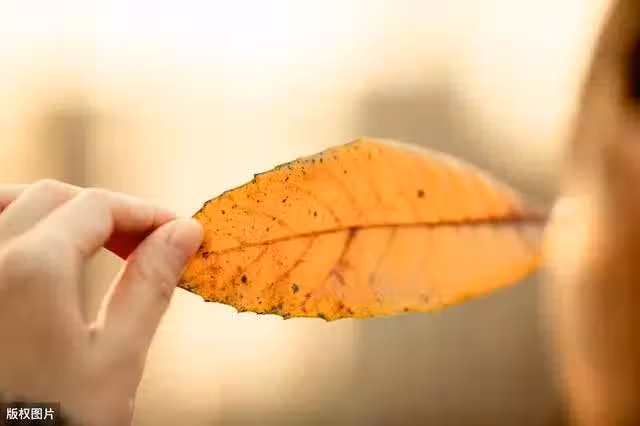 /www/bananadaily.net/web/images/image/2028/20289143.avif