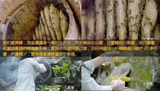 /www/bananadaily.net/web/images/image/2029/20291525.avif