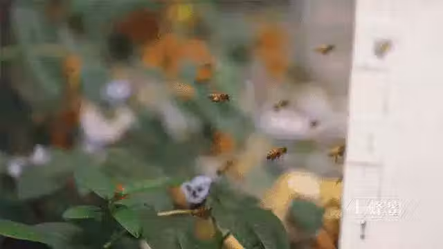 /www/bananadaily.net/web/images/image/2029/20291532.avif