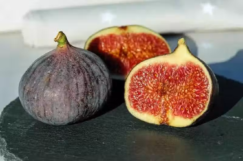 /www/bananadaily.net/web/images/image/2029/20296299.avif