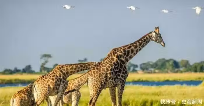 /www/bananadaily.net/web/images/image/2029/20298997.avif