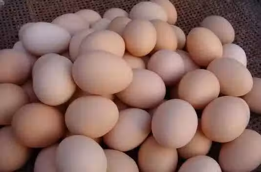 /www/bananadaily.net/web/images/image/2029/20299446.avif
