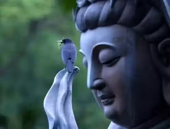 /www/bananadaily.net/web/images/image/2029/20299732.avif
