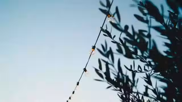 /www/bananadaily.net/web/images/image/2029/20299851.avif