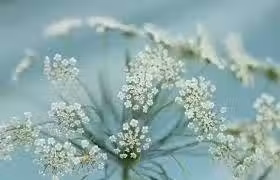 /www/bananadaily.net/web/images/image/2097/20974670.avif
