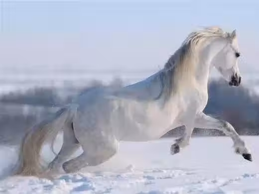 /www/bananadaily.net/web/images/image/2098/20984889.avif