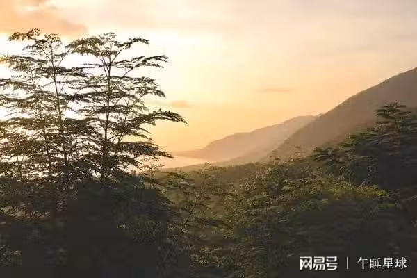 /www/bananadaily.net/web/images/image/2098/20985678.avif
