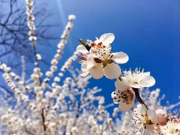 /www/bananadaily.net/web/images/image/2098/20986191.avif