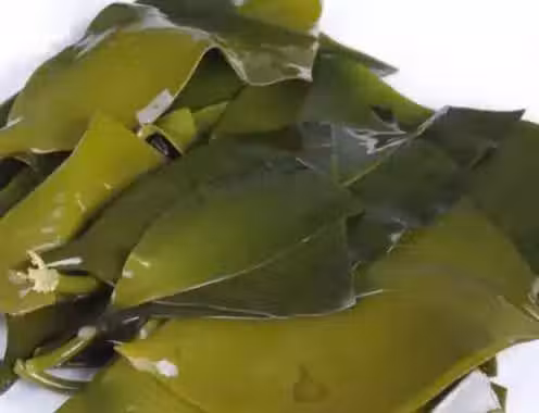 /www/bananadaily.net/web/images/image/2122/21225286.avif
