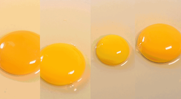 /www/bananadaily.net/web/images/image/2129/21294725.avif