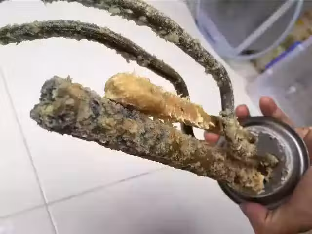 /www/bananadaily.net/web/images/image/2131/21315427.avif