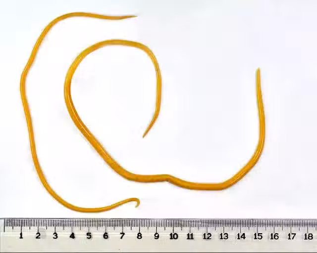 /www/bananadaily.net/web/images/image/2143/21435407.avif