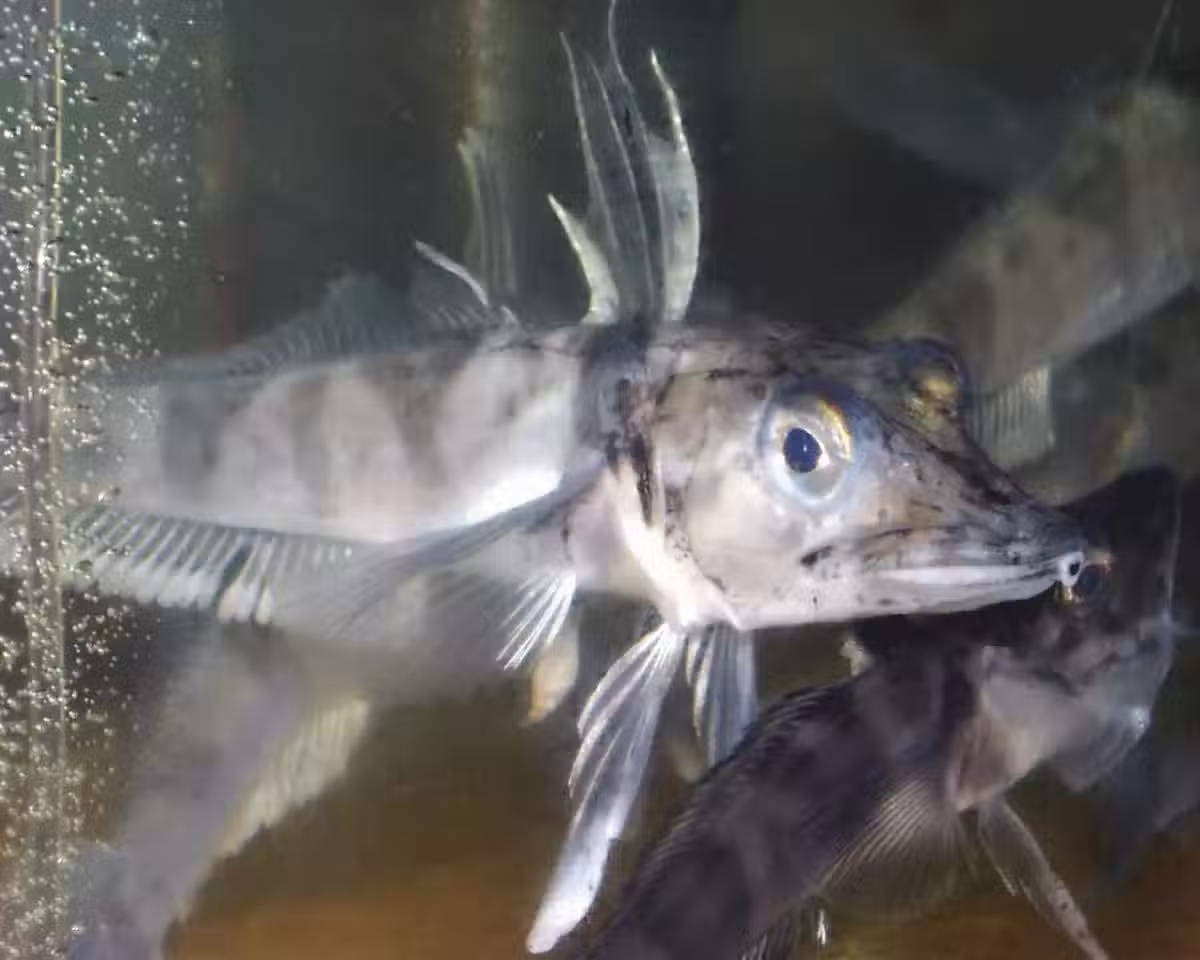 /www/bananadaily.net/web/images/image/2163/21637398.avif