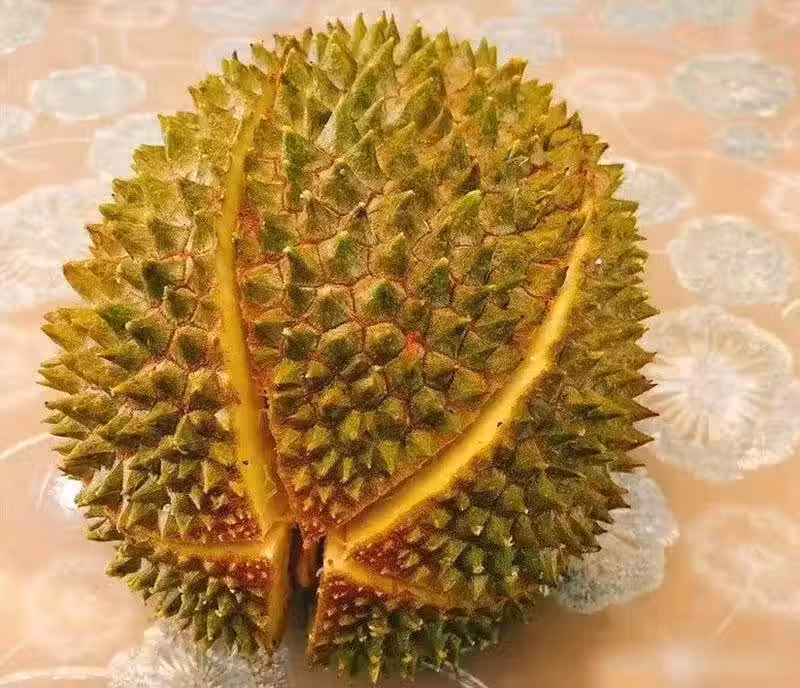 /www/bananadaily.net/web/images/image/2173/21737464.avif