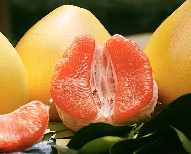 /www/bananadaily.net/web/images/image/2182/21825255.avif