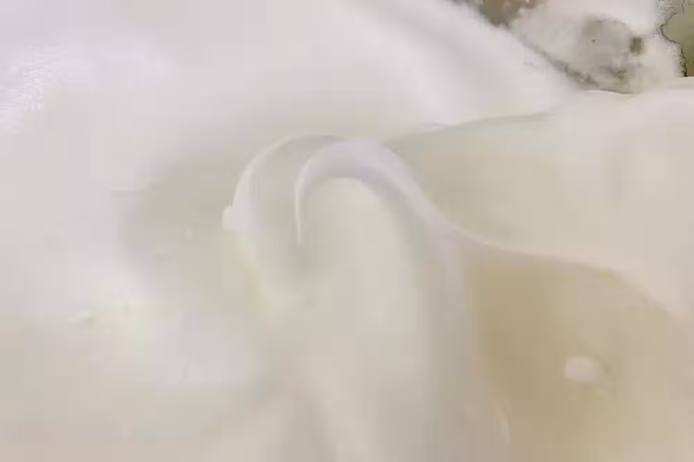 /www/bananadaily.net/web/images/image/2207/22071216.avif