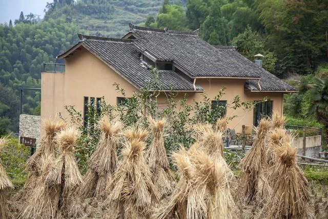 父親住院,我們姐妹倆左右為難之際,大伯一番話打消了我們的顧慮