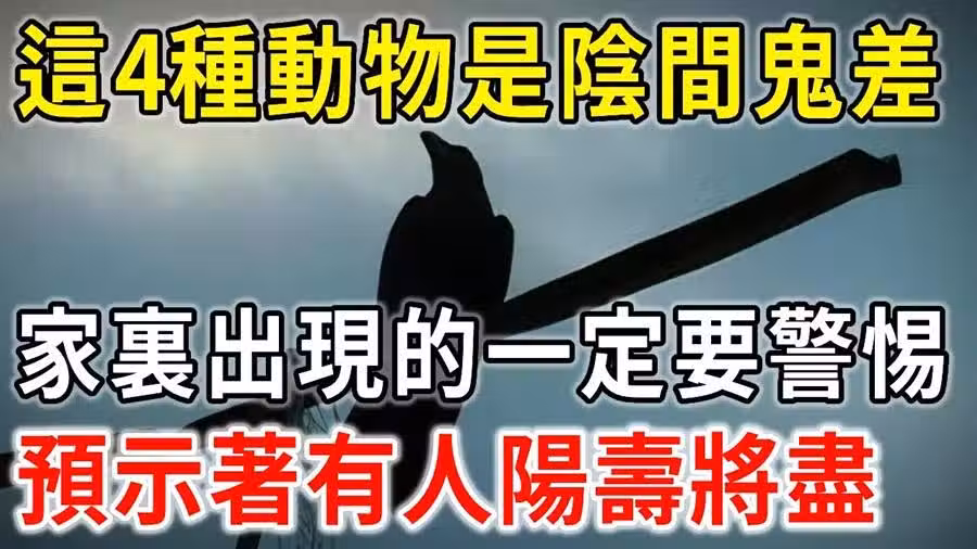 /www/bananadaily.net/web/images/image/2239/22391588.avif