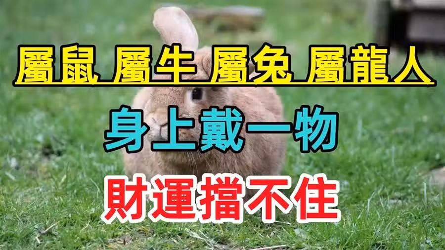 /www/bananadaily.net/web/images/image/2239/22391594.avif
