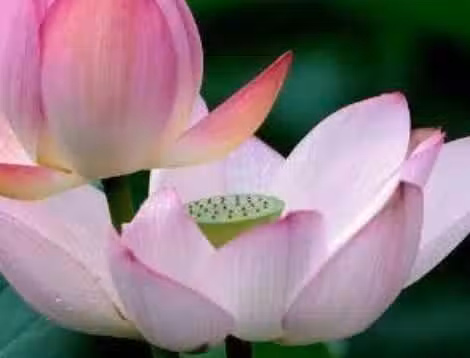 /www/bananadaily.net/web/images/image/2239/22394095.avif