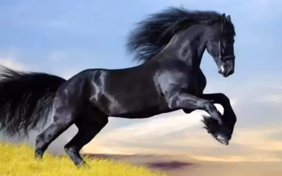 /www/bananadaily.net/web/images/image/2250/22503579.avif