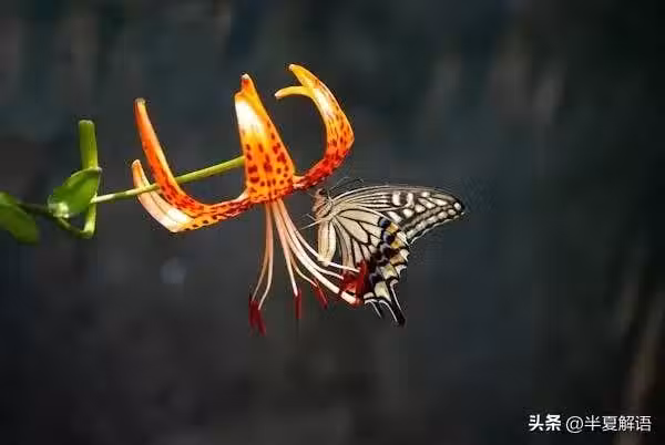 /www/bananadaily.net/web/images/image/2273/22730058.avif