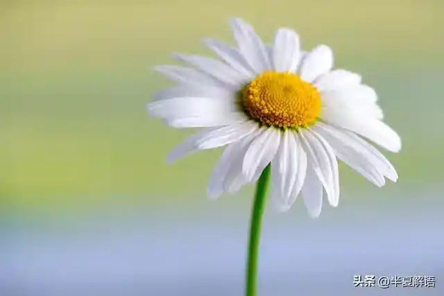 /www/bananadaily.net/web/images/image/2274/22747541.avif