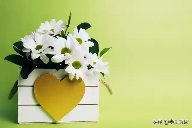 /www/bananadaily.net/web/images/image/2274/22747542.avif