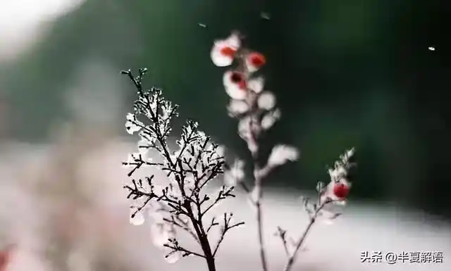 /www/bananadaily.net/web/images/image/2274/22747545.avif