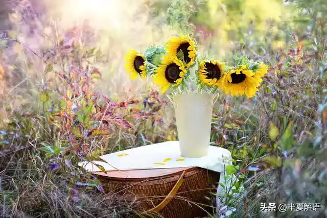 /www/bananadaily.net/web/images/image/2274/22747556.avif