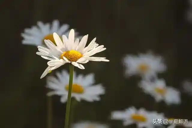 /www/bananadaily.net/web/images/image/2274/22747557.avif
