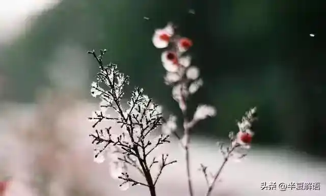 /www/bananadaily.net/web/images/image/2274/22747566.avif