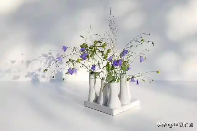 /www/bananadaily.net/web/images/image/2274/22748039.avif