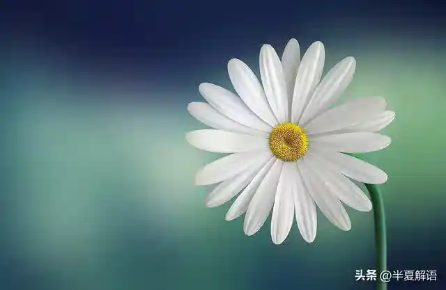 /www/bananadaily.net/web/images/image/2274/22748043.avif