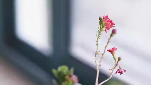/www/bananadaily.net/web/images/image/2274/22748093.avif