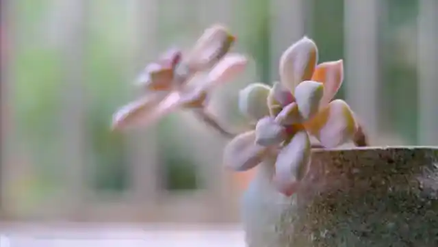 /www/bananadaily.net/web/images/image/2274/22748148.avif