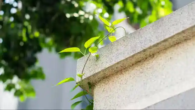 /www/bananadaily.net/web/images/image/2274/22748160.avif
