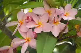 /www/bananadaily.net/web/images/image/2274/22749724.avif
