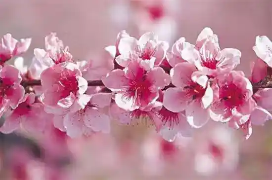 /www/bananadaily.net/web/images/image/2274/22749727.avif