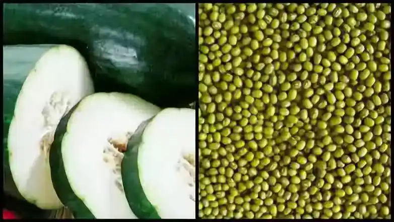 /www/bananadaily.net/web/images/image/2275/22750092.avif